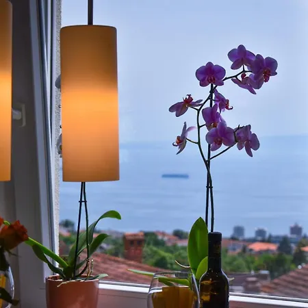 Apartment Nada